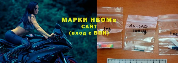 spice Бородино