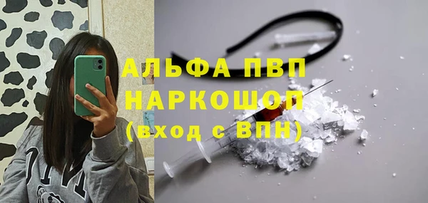 spice Бородино