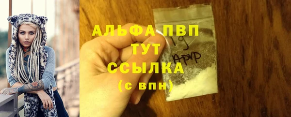 spice Бородино