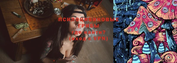 spice Бородино