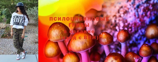 ешки Ветлуга