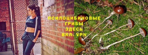 spice Бородино