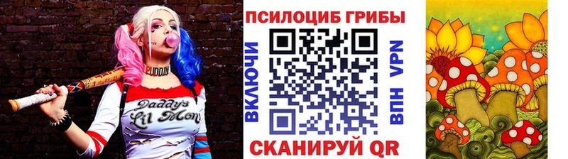 Псилоцибиновые грибы Magic Shrooms  кракен ссылки  Воркута 